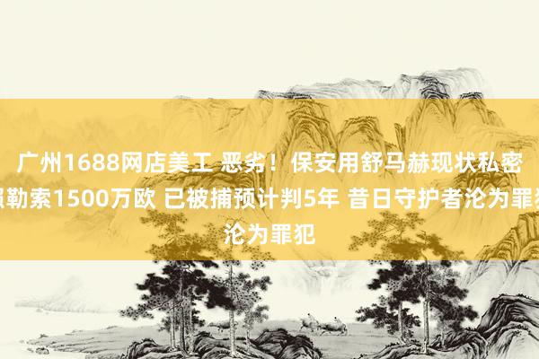 广州1688网店美工 恶劣！保安用舒马赫现状私密照勒索1500万欧 已被捕预计判5年 昔日守护者沦为罪犯