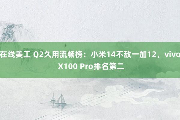 在线美工 Q2久用流畅榜：小米14不敌一加12，vivo X100 Pro排名第二