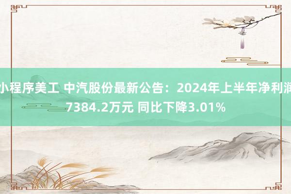 小程序美工 中汽股份最新公告：2024年上半年净利润7384.2万元 同比下降3.01%